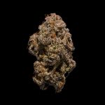 Winter Sunset 3.5g Dried Flower