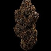 Bella Luna 3.5g Dried Flower