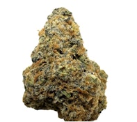 GASTRO POP PREMIUM SMALLS | 3.5g