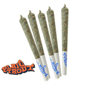 Plaid Trout - Amnesia Haze 5 x 0.5g Pre-Rolls