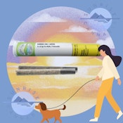 SUNRISE CBG DOGWALKER - WEATHERED ISLAND - 2X0.35G