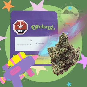 Orchard - GLOC - ORCHARD - 7G