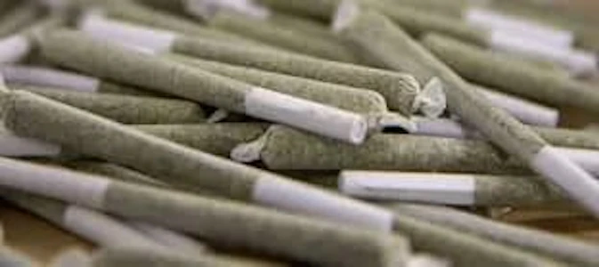 Tumbleweed Gray Ave  - ORANGE TANGIE 28 X 0.5G