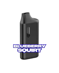 Tumbleweed Gray Ave  - BLUEBERRY SQUIRT AIO 1G