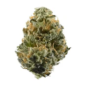 Special Haze 3.5g