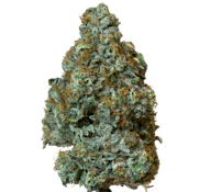 Island Genetics - Kool Grapes (7g)