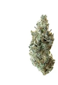 All Nations - TROPIC THUNDER | 3.5g