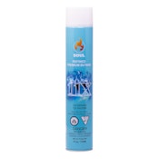 Butane 750mL