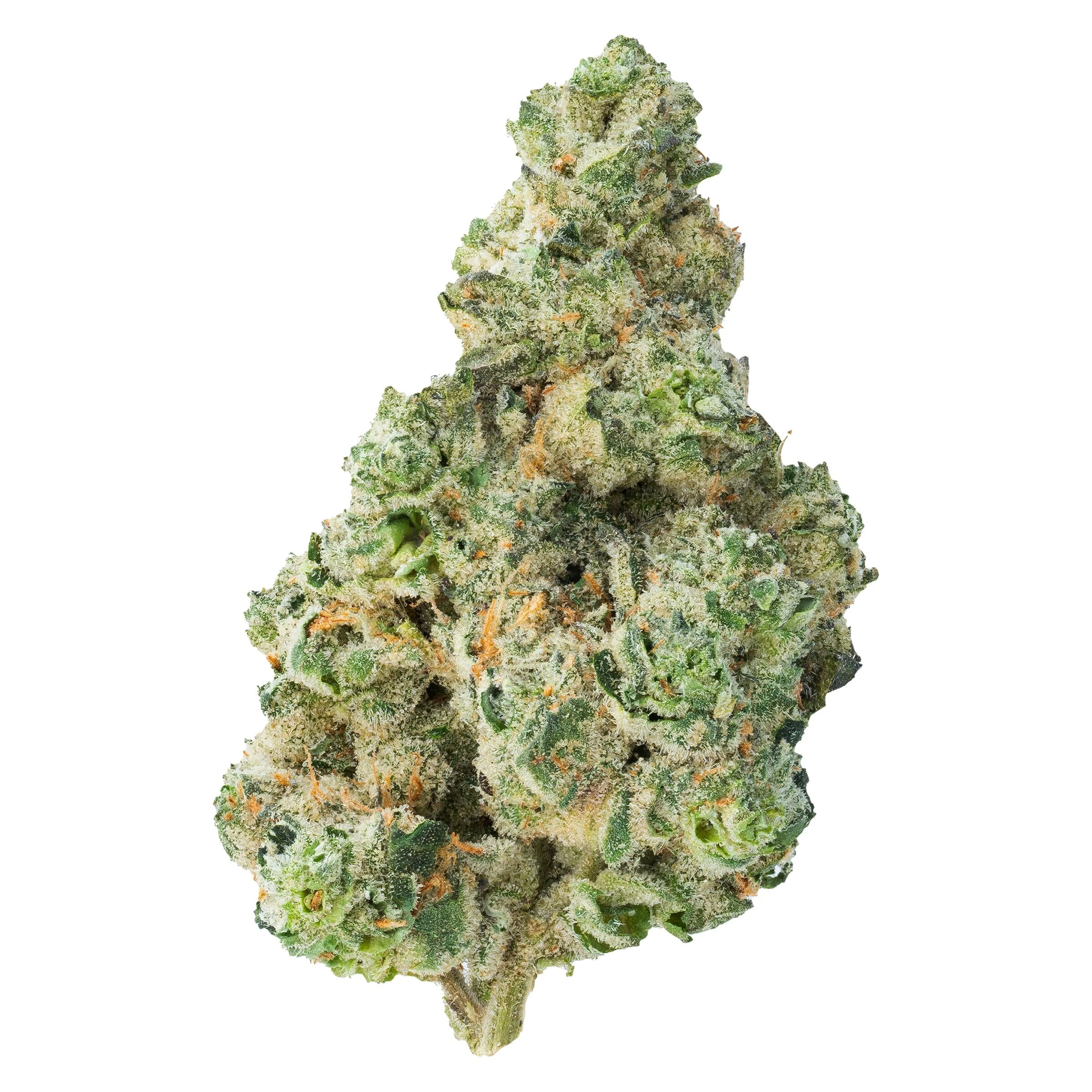 THE LOUD PLUG - Cherry Diesel-14g Main Image