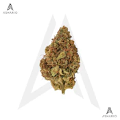Farmer's Market | 28g