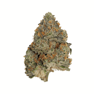 Pistol and Paris - Blue Zushi 3.5g Dried Flower by Pistol and Paris