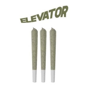 Elevator - Purple Bubba Pre-Rolls 3 x 0.5g