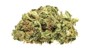 Good Supply Jean Guy 7g Dried Flower