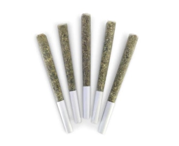 DEALR - DEALR | Honey Nectar Pre-Roll | 5 x 0.5 g