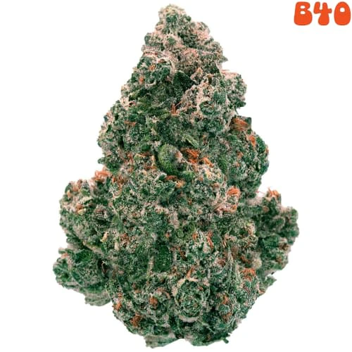 Back Forty - Back Forty | Liquid Imagination Flower | 14g Main Image