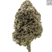 FIGR | Jungle Fumes Flower | 28g