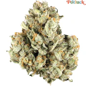 Potluck | Maple Pancakes Flower | 7g