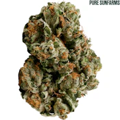 Pure Sunfarms | Pink Kush Flower | 7g