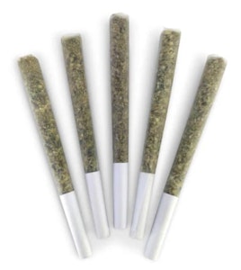 DEALR - HONEY NECTAR PRE-ROLLS LTO - 5 x 0.g