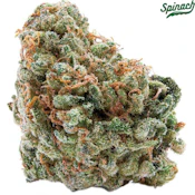 Spinach | Wedding Cake Flower | 3.5g