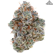 Tribal | Neon Sunshine Flower | 3.5g
