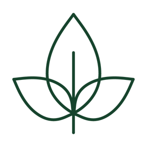 Wow - Gas Leak Hybrid | 3.5g Flower