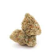 Organic Mango Hashplant 7g Flower - Canadian Cannabis