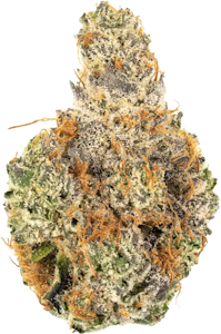 Bud Boys - Bud Boys - Kush Cookies | 14g