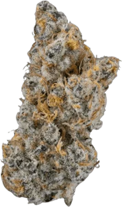 JOI BOTANICALS - Joi Botanicals - Mojito Cookies | 7g