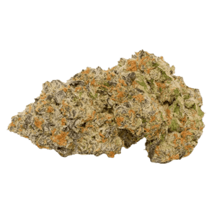 Zippy - Orange Dreamsicle (28g) - Zippy