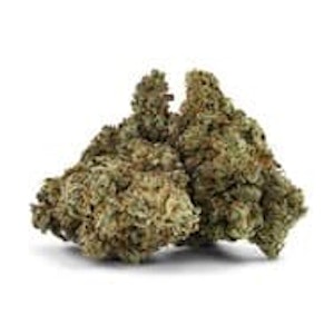 DEALR - PAPAYA BOMB LTO - 7