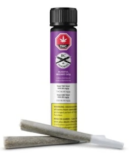 BC Doobies - BLISSFUL WIZARD | BC Doobies 2x1g Pre-rolls |