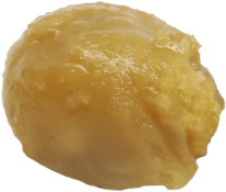 The Goo - Brain Fruit Live Rosin | 1g
