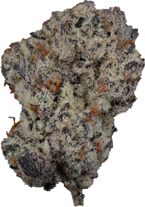 Hidden Stash - Hidden Stash - Oreoz | 7g