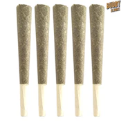 Buddy Blooms | Lil Buddy Sativa Pre-Roll | 5x0.5g~