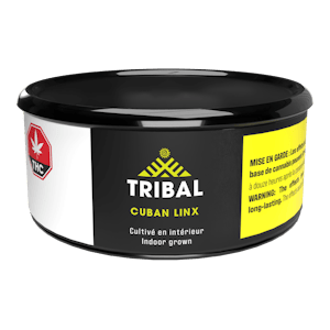Tribal - Tribal | Cuban Linx | 3.5g Sativa Flower
