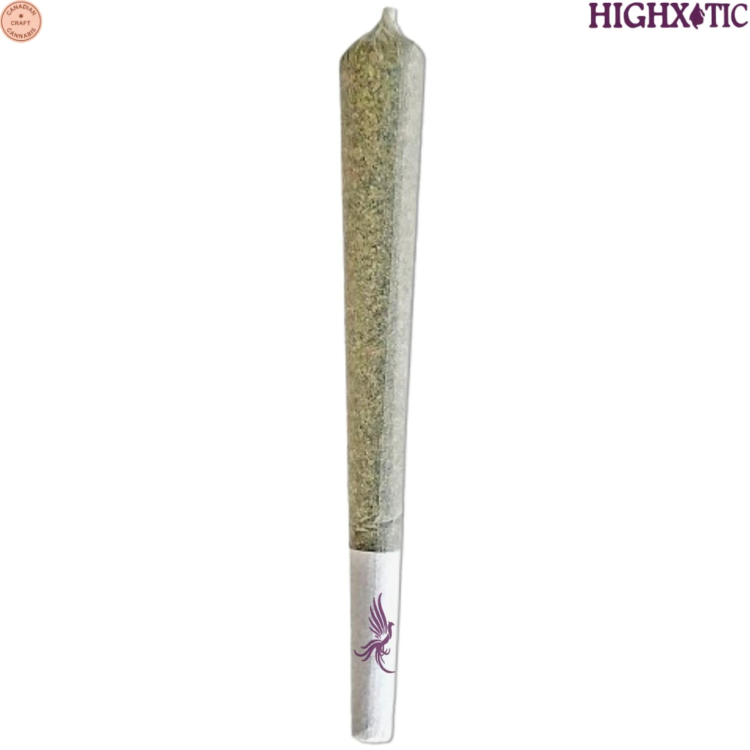 HighXotic - HighXotic | Royal One - Vault Series (Rotating Strain) Pre-Roll | 1x1g Main Image