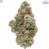Northern Canna | Galactic Guava Craft Flower | 3.5g PROMO