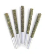 DEALR | HONEY NECTAR PRE-ROLLS LTO 5 x 0.5g