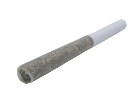 StoneGrove - Geisha Breath - 1 x 1g