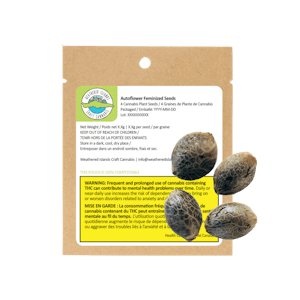 Weathered Islands Craft Cannabis - Weathered Islands Purple Romulan Fast Flowering Feminized Seeds - 4