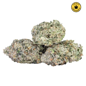 Sixty Seven Sins - EXPO67 3.5g Dried Flower