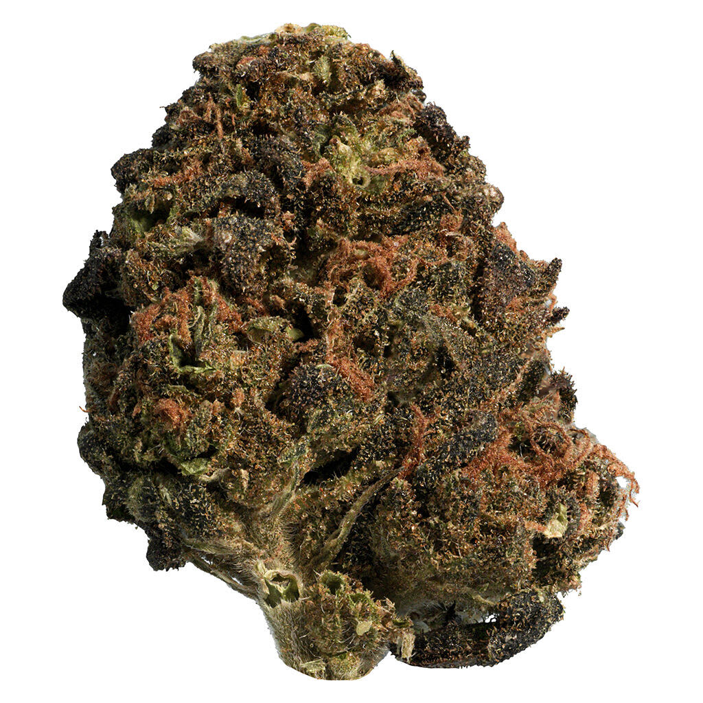 BC Organic Sun Grown Mango Sapphire 28g Dried Flower