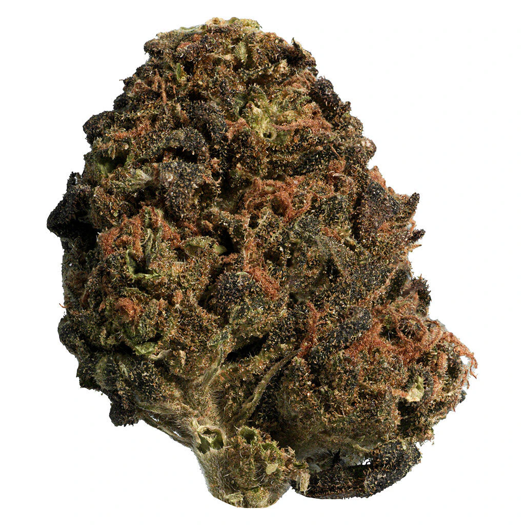 Big Steal - BC Organic Sun Grown Mango Sapphire 28g Dried Flower Main Image