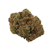 Bold | Cool Aid Kush | Indica 3.5g Flower