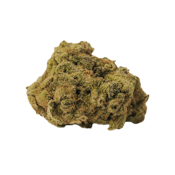 Bold | Orange Crush | Sativa 7g Flower