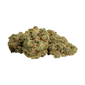 Bold Growth Inc. - Bold | Root Beer Float | Indica 14g Flower