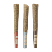 Bold | Craft Sampler | Hybrid 3x0.5g Pre-rolls