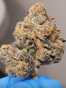 ROGWORLD-CADILLAC RAINBOW - 14G