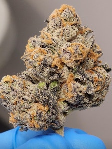 Rogworld - ROGWORLD-CADILLAC RAINBOW - 14G